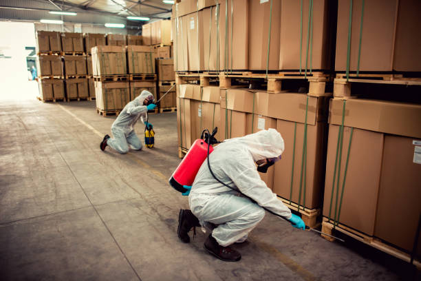 Best Best Pest Control Companies  in Spring Park, MN