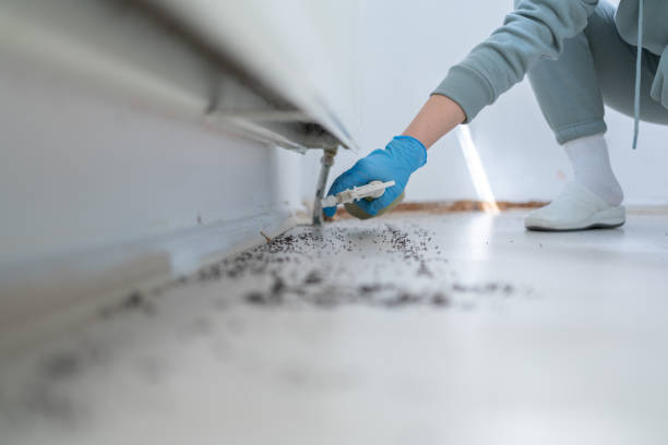 Best Pest Prevention Services  in Spring Park, MN