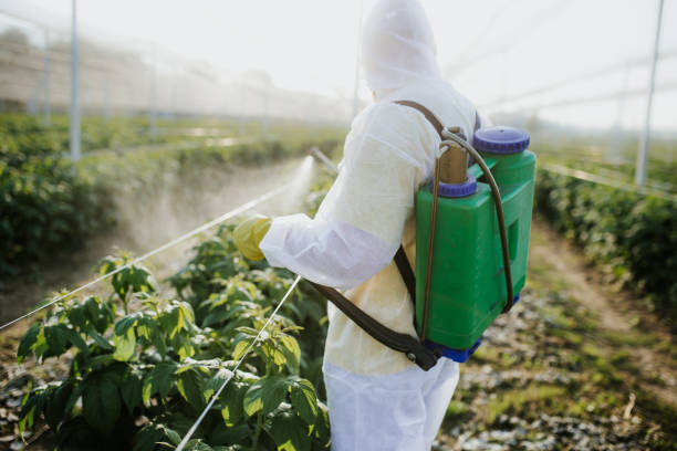 Best Emergency Pest Control  in Spring Park, MN